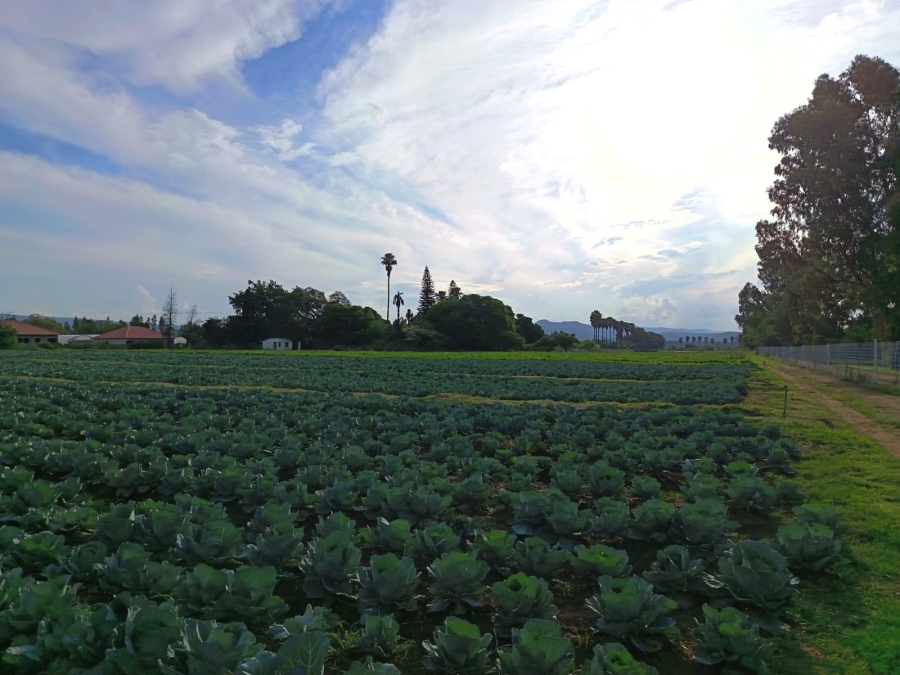 4 Bedroom Property for Sale in Mooinooi North West